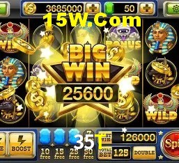 Casino VIP 35T